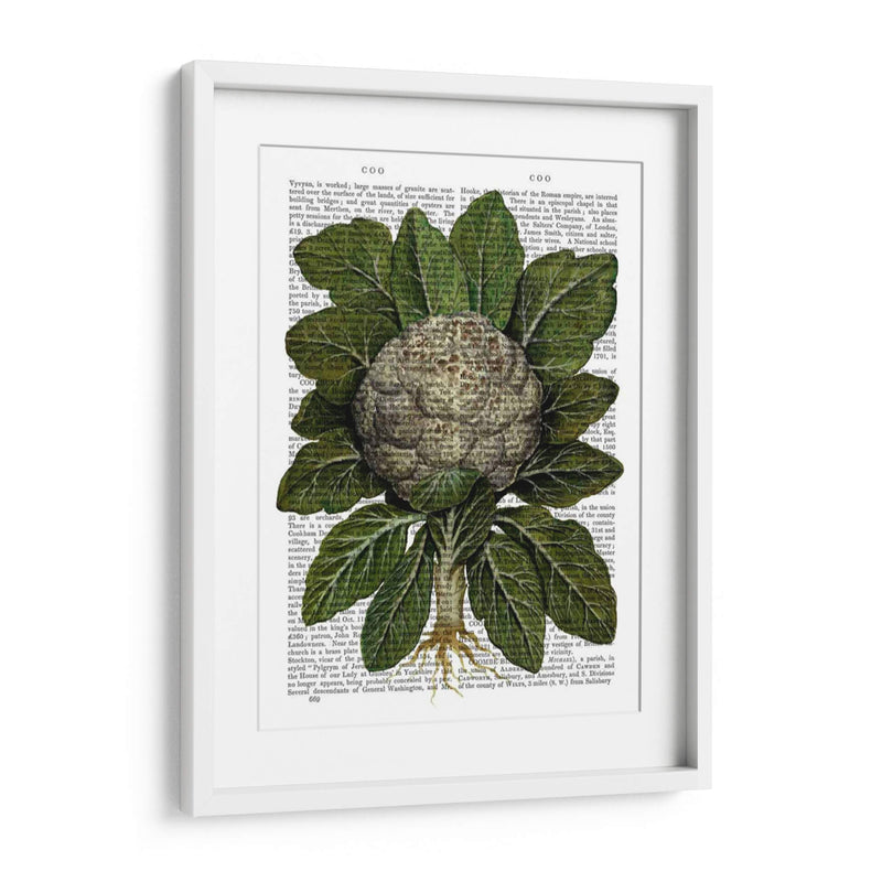 Coliflor - Fab Funky | Cuadro decorativo de Canvas Lab