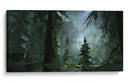 Bosque con niebla | Cuadro decorativo de Canvas Lab