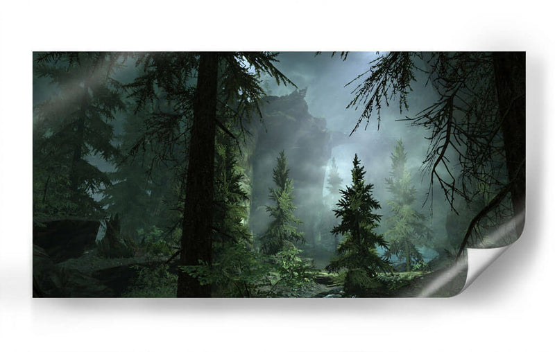 Bosque con niebla | Cuadro decorativo de Canvas Lab