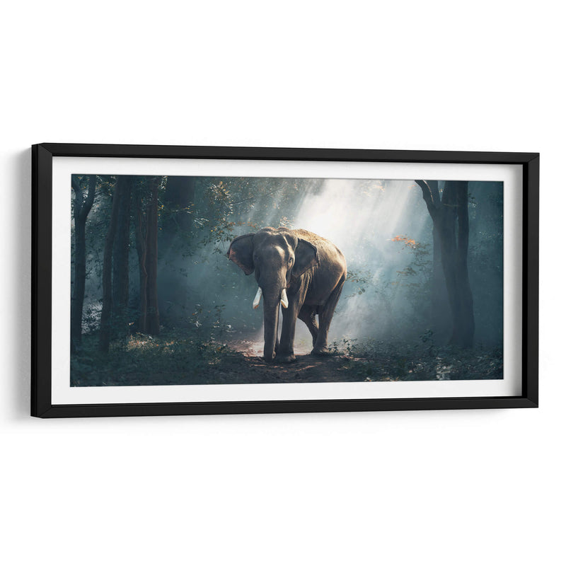 Elefante en el bosque | Cuadro decorativo de Canvas Lab