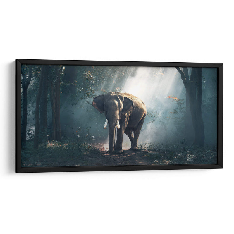 Elefante en el bosque | Cuadro decorativo de Canvas Lab