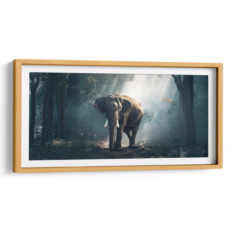 Elefante en el bosque | Cuadro decorativo de Canvas Lab