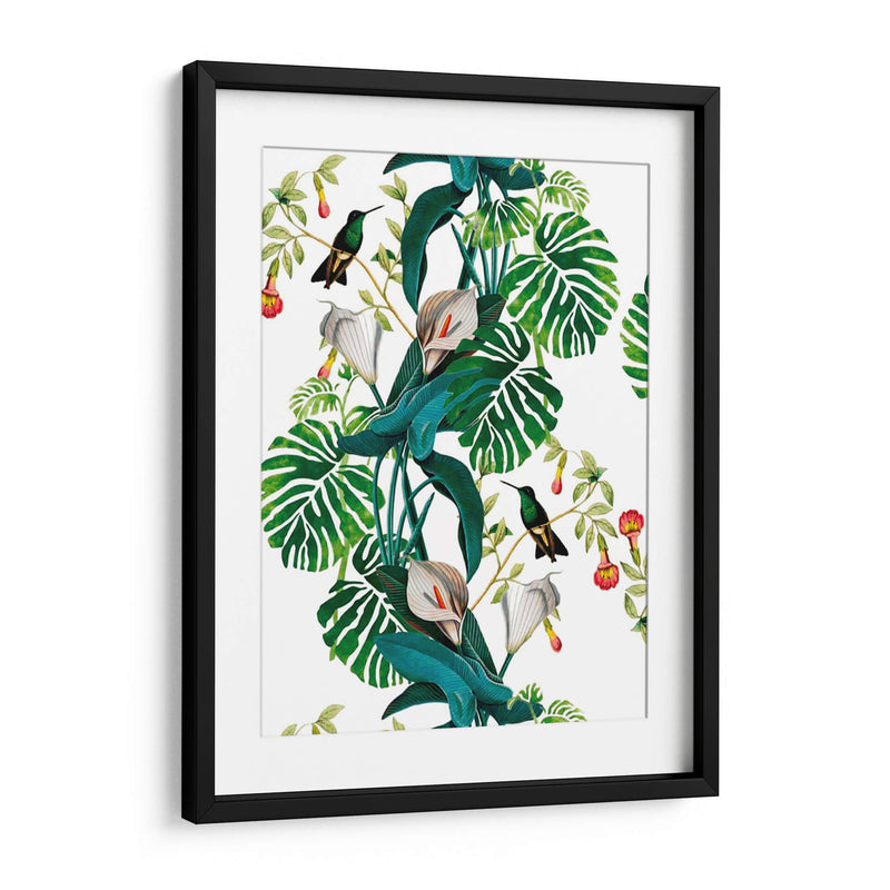 Plantas colibrí | Cuadro decorativo de Canvas Lab
