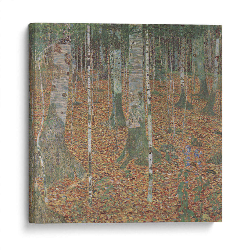 Bosque de abedules - Gustav Klimt | Cuadro decorativo de Canvas Lab