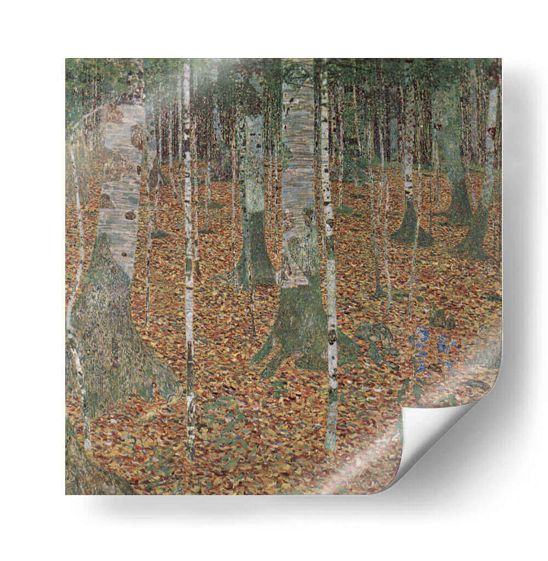 Bosque de abedules - Gustav Klimt | Cuadro decorativo de Canvas Lab