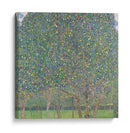 Peral - Gustav Klimt | Cuadro decorativo de Canvas Lab