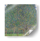 Peral - Gustav Klimt | Cuadro decorativo de Canvas Lab