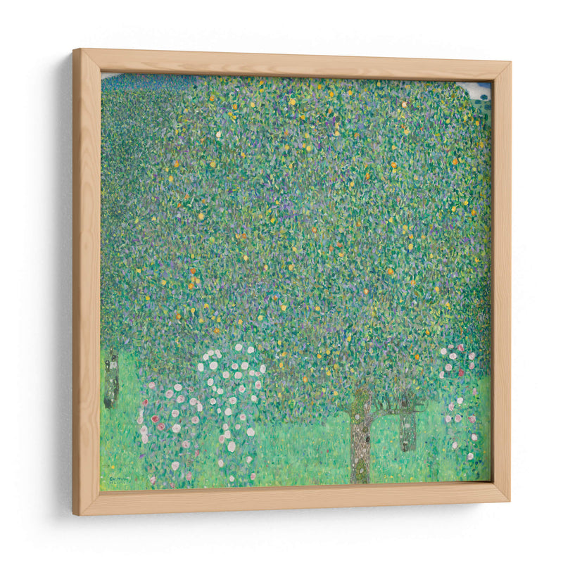 Rosales bajo los árboles - Gustav Klimt | Cuadro decorativo de Canvas Lab