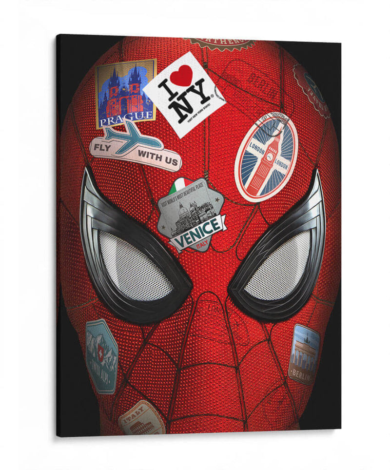 Araña internacional | Cuadro decorativo de Canvas Lab