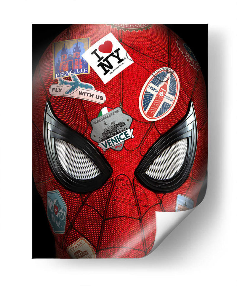 Araña internacional | Cuadro decorativo de Canvas Lab