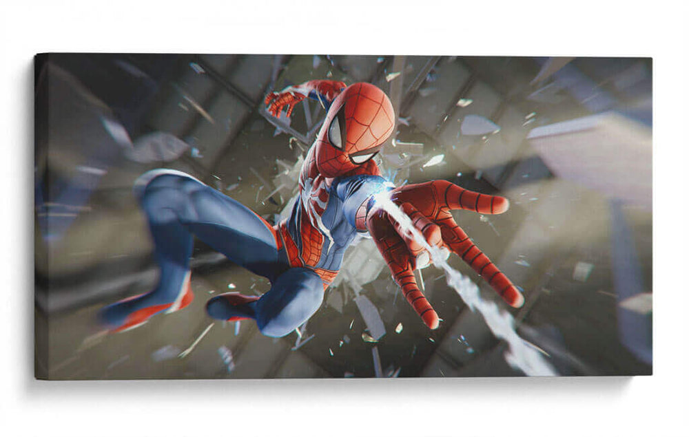 Lanza telaraña | Cuadro decorativo de Canvas Lab