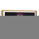 Ojos luminosos en la penumbra | Cuadro decorativo de Canvas Lab