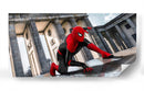Spider-Man en pose | Cuadro decorativo de Canvas Lab
