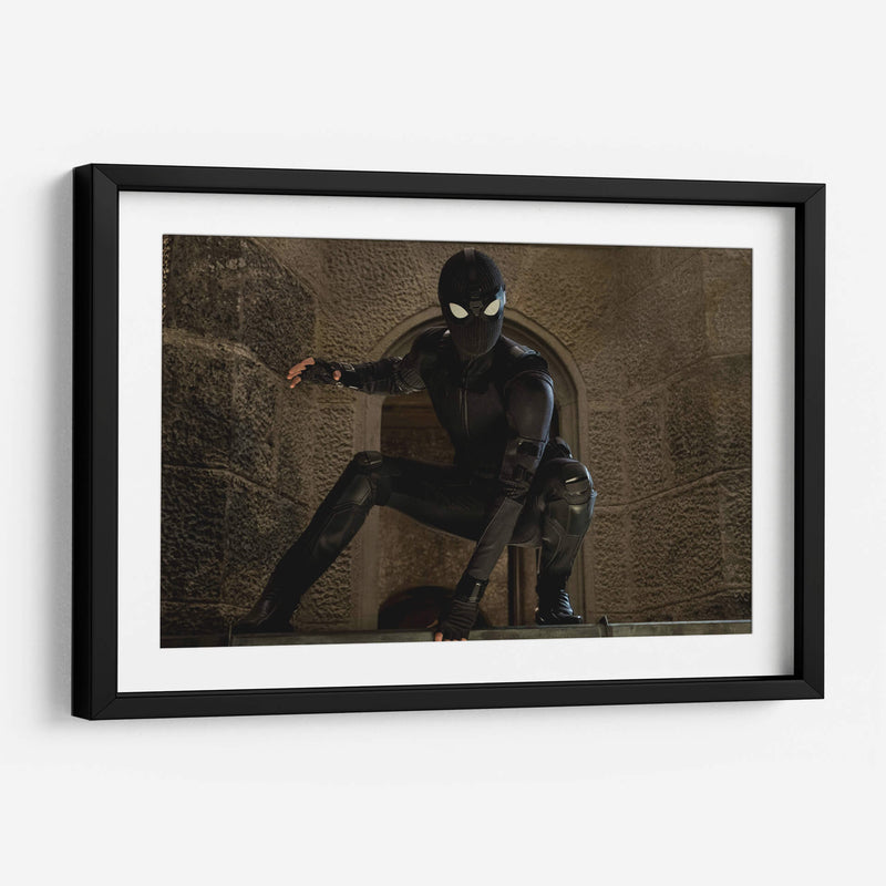 Stealth Spider-Man | Cuadro decorativo de Canvas Lab