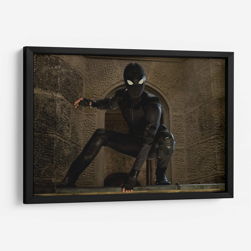 Stealth Spider-Man | Cuadro decorativo de Canvas Lab