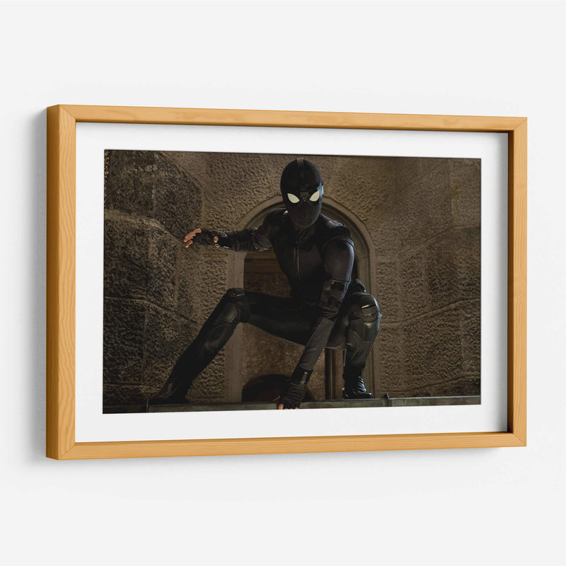 Stealth Spider-Man | Cuadro decorativo de Canvas Lab
