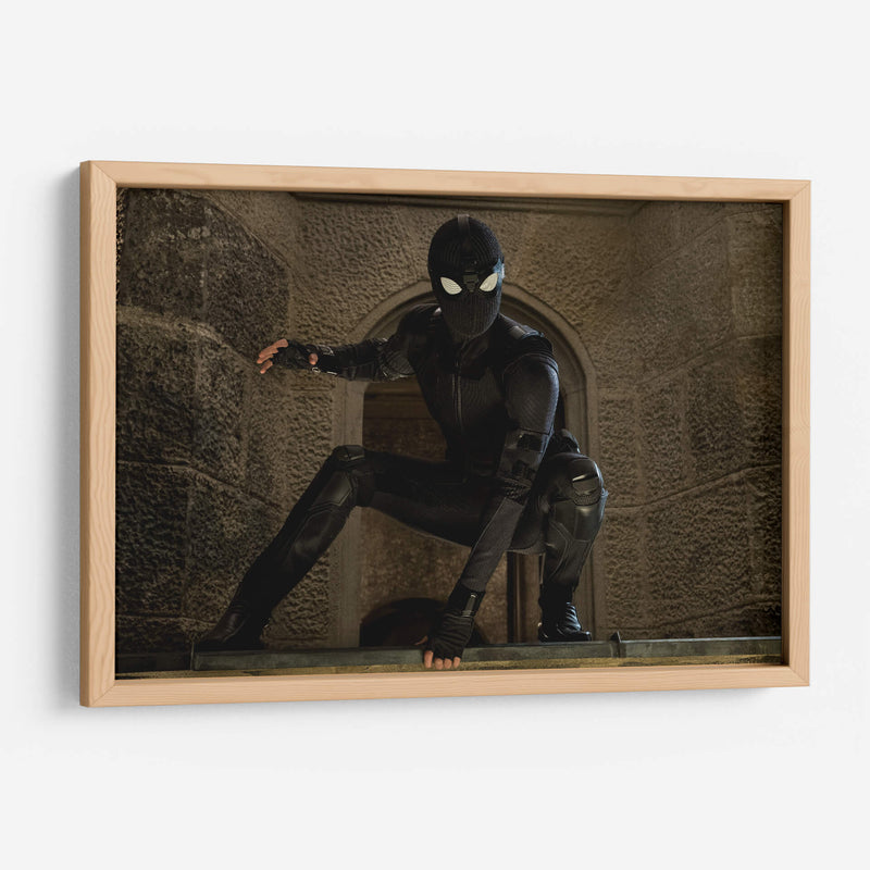 Stealth Spider-Man | Cuadro decorativo de Canvas Lab