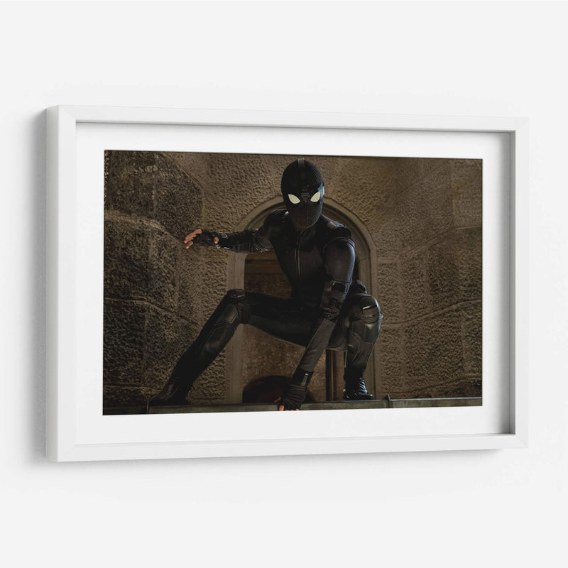 Stealth Spider-Man | Cuadro decorativo de Canvas Lab