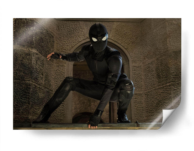 Stealth Spider-Man | Cuadro decorativo de Canvas Lab