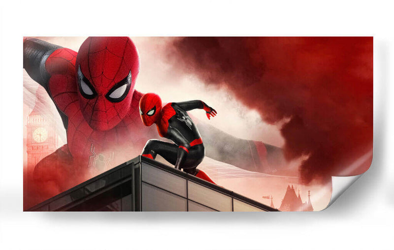 Visiones arácnidas | Cuadro decorativo de Canvas Lab