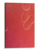 10 - Andrés Blásquez | Cuadro decorativo de Canvas Lab