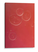 11 - Andrés Blásquez | Cuadro decorativo de Canvas Lab