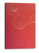 12 - Andrés Blásquez | Cuadro decorativo de Canvas Lab