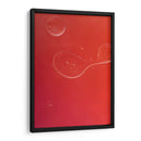 12 - Andrés Blásquez | Cuadro decorativo de Canvas Lab