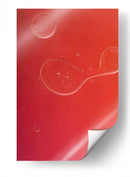 12 - Andrés Blásquez | Cuadro decorativo de Canvas Lab