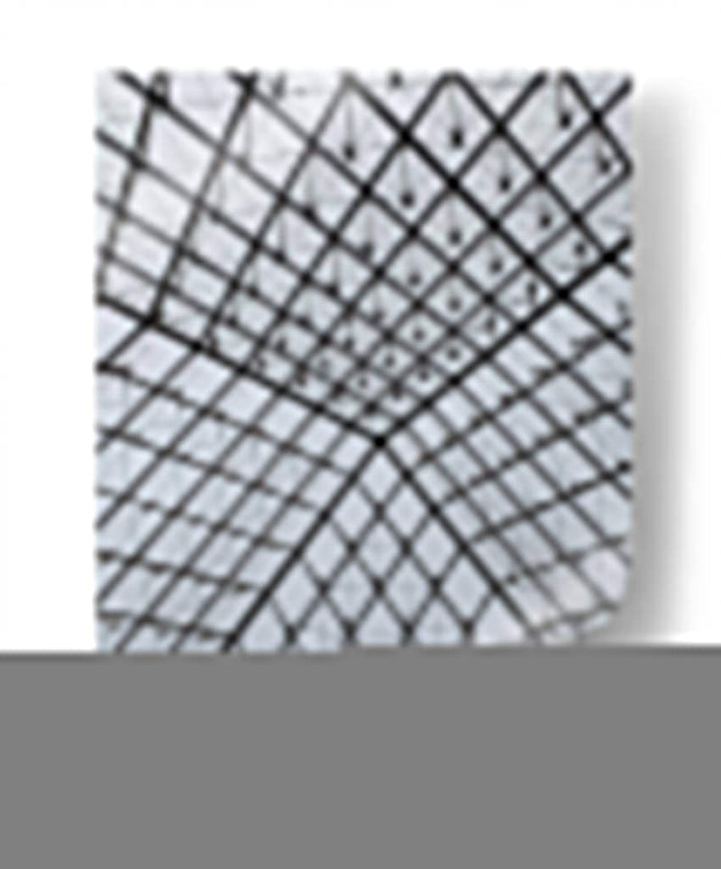 Louvre - Laura Campos | Cuadro decorativo de Canvas Lab