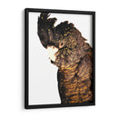 Cacatúa - Alemi | Cuadro decorativo de Canvas Lab