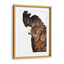 Cacatúa - Alemi | Cuadro decorativo de Canvas Lab