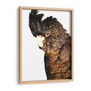 Cacatúa - Alemi | Cuadro decorativo de Canvas Lab