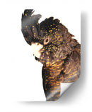 Cacatúa - Alemi | Cuadro decorativo de Canvas Lab