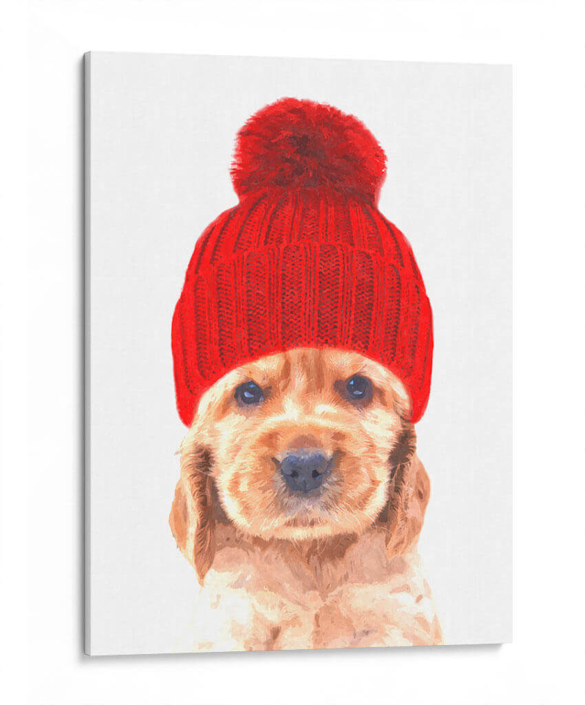 Cocker - Alemi | Cuadro decorativo de Canvas Lab