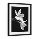 Flores Blancas - Alemi | Cuadro decorativo de Canvas Lab