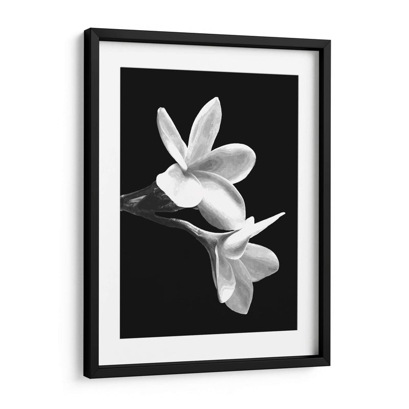 Flores Blancas - Alemi | Cuadro decorativo de Canvas Lab