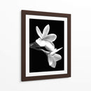 Cuadro decorativo de Canvas Lab