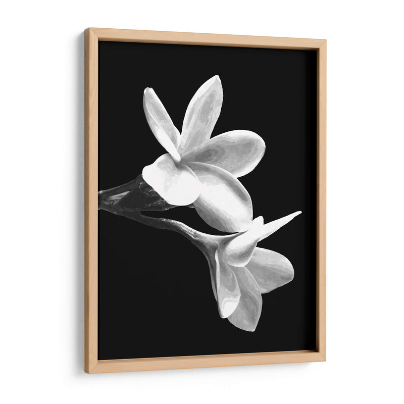 Flores Blancas - Alemi | Cuadro decorativo de Canvas Lab