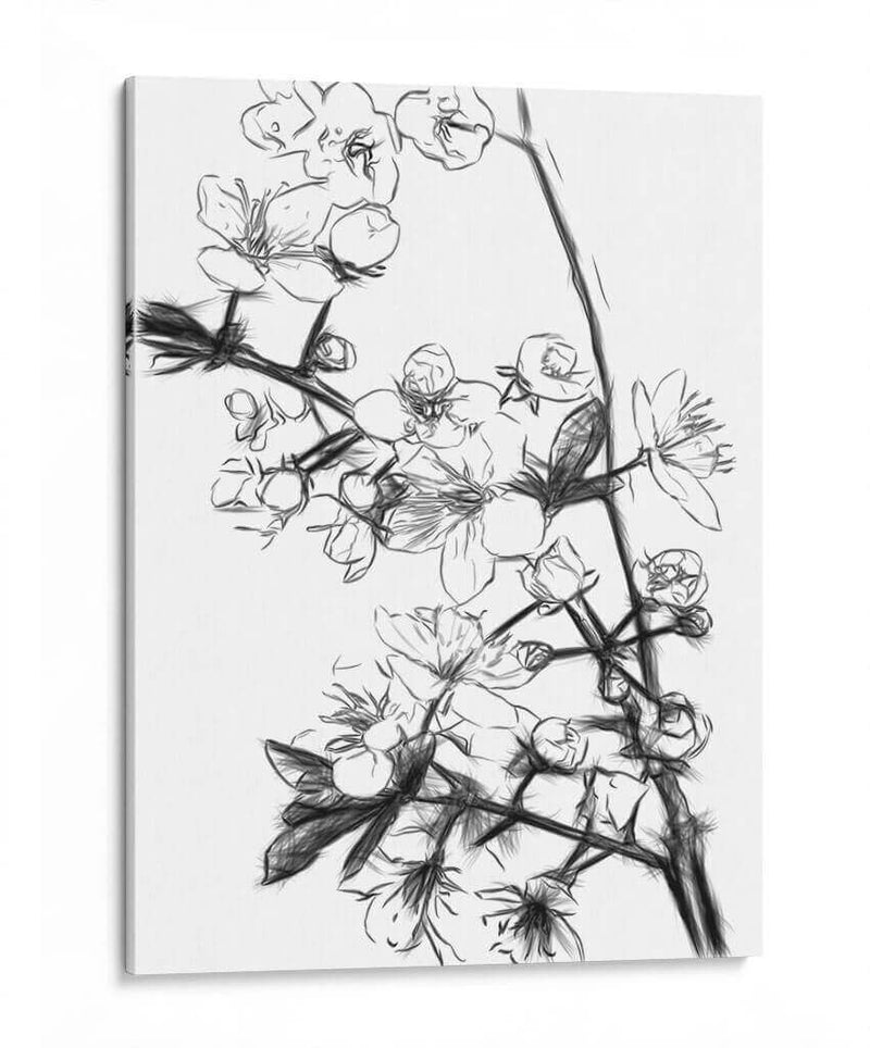 Flores de Cerezo Blanco y Negro - Alemi | Cuadro decorativo de Canvas Lab