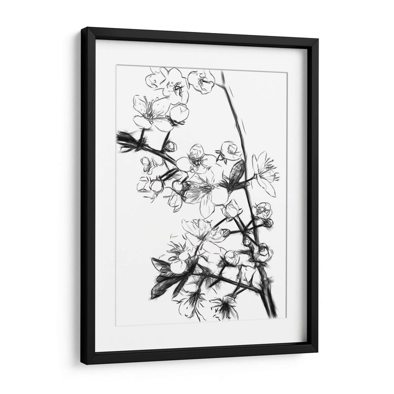 Flores de Cerezo Blanco y Negro - Alemi | Cuadro decorativo de Canvas Lab