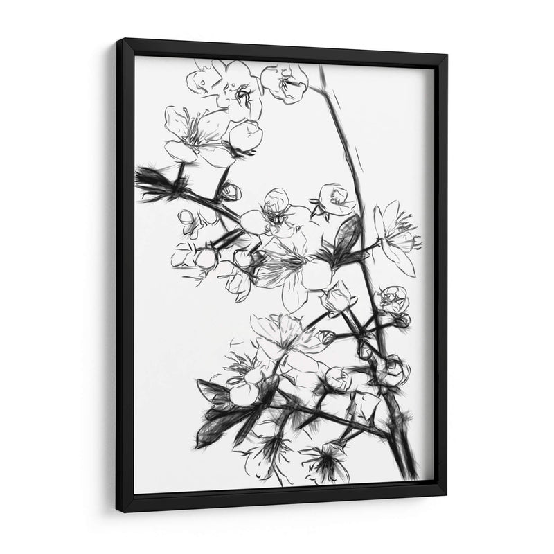 Flores de Cerezo Blanco y Negro - Alemi | Cuadro decorativo de Canvas Lab