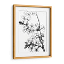 Flores de Cerezo Blanco y Negro - Alemi | Cuadro decorativo de Canvas Lab