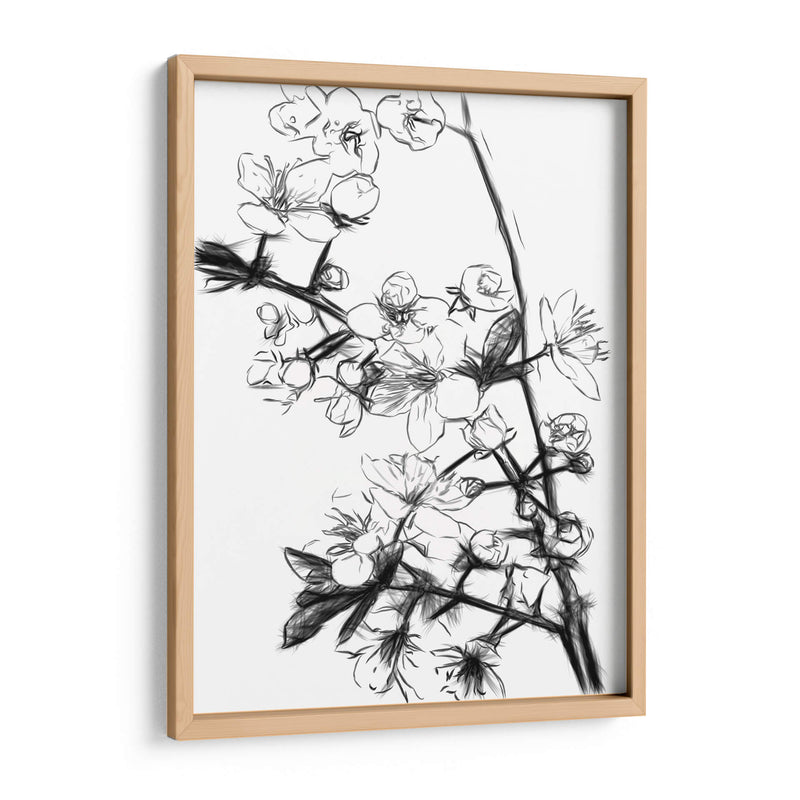 Flores de Cerezo Blanco y Negro - Alemi | Cuadro decorativo de Canvas Lab
