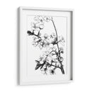 Flores de Cerezo Blanco y Negro - Alemi | Cuadro decorativo de Canvas Lab