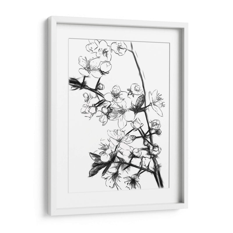 Flores de Cerezo Blanco y Negro - Alemi | Cuadro decorativo de Canvas Lab