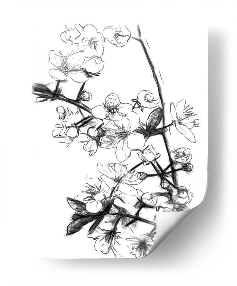 Flores de Cerezo Blanco y Negro - Alemi | Cuadro decorativo de Canvas Lab