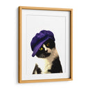 Gato con gorra azul - Alemi | Cuadro decorativo de Canvas Lab