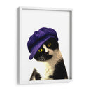 Gato con gorra azul - Alemi | Cuadro decorativo de Canvas Lab