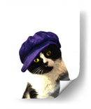Gato con gorra azul - Alemi | Cuadro decorativo de Canvas Lab